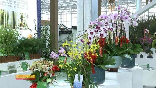 2021中国 合肥苗木花卉交易大会今天开幕
