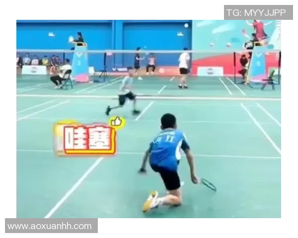 羽毛球的梦想与拼搏:北京羽毛球队的奋斗历程全景纪实