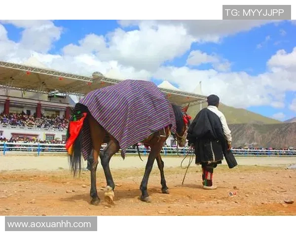 西安足球队的速度之谜：揭开他们在赛场上的神秘面纱